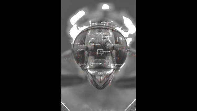 tracked…  #touchdesigner