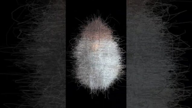 Transform Myself into Line noises#touchdesigner #pops