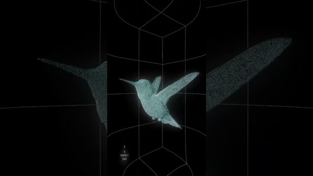 Visual work touchdesigner for a dj DM for digitals artworks #music #aesthetic #bird #touchdesigner