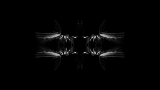 _zteb/phonk noir  #bassmusic #bass #touchdesigner