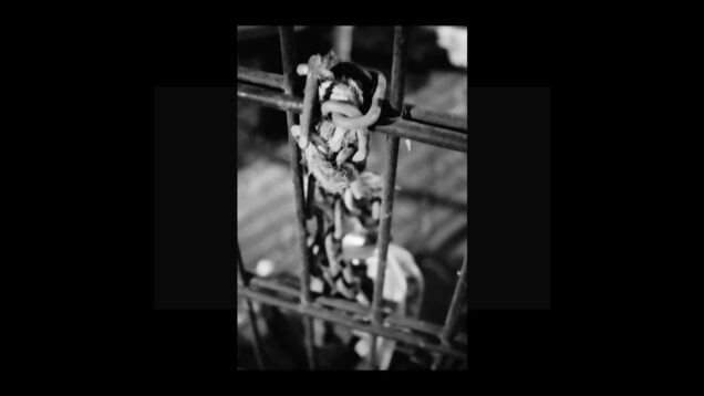 _zteb/slideBass251125 #kontrabass #art #touchdesigner #blackandwhitephotography #doublebass