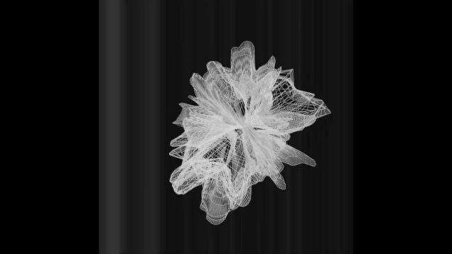 zteb_sphere flower #kontrabass #music #bass #musician #touchdesigner