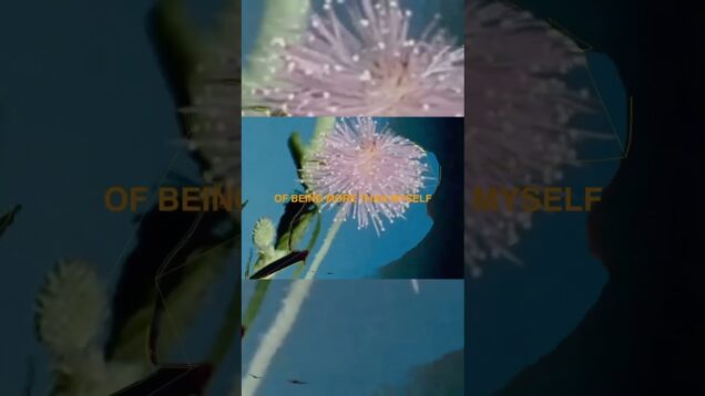 Again #indiesong #touchdesigner  #alternativemusic