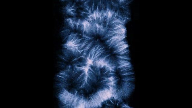 Beginner with TouchDesigner 2