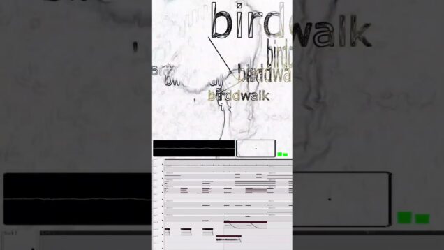 birddwalk #touchdesigner #flstudio #beats