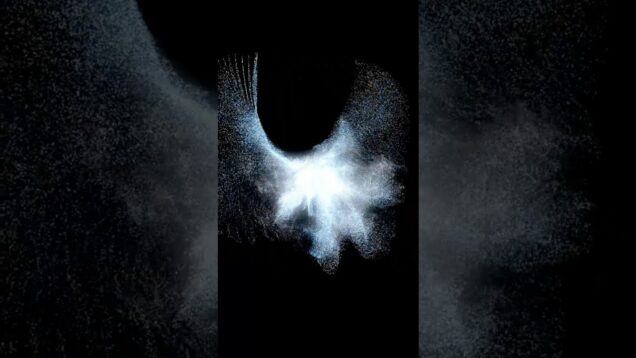 Luminous Bird #touchdesigner