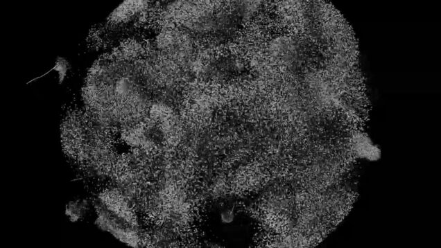 Multi attractor GLSL- TouchDesigner