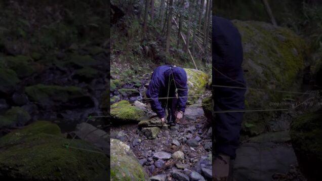 Nature, Body, Technology. (Made with TouchDesigner)