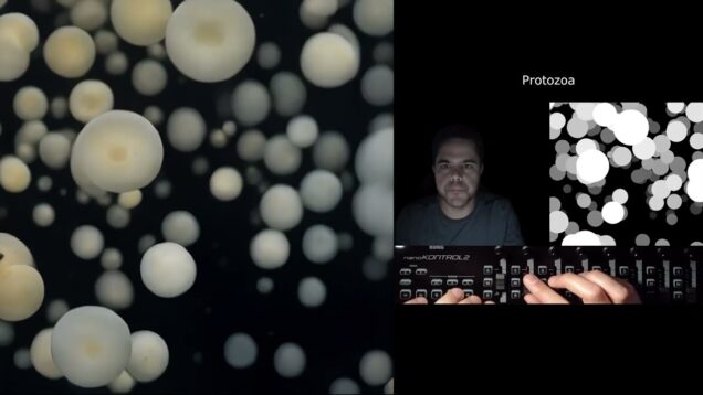 Organic forms – TouchDesigner + Streamdiffusion