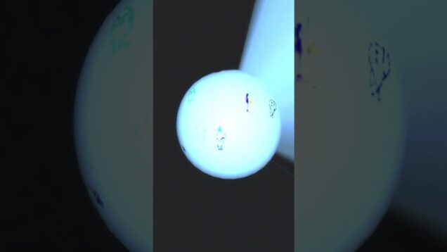 Pececitos | TouchDesigner