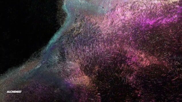 PointClound#touchdesigner #audiovisual #abletonlive