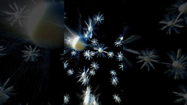 Star bright #TouchDesigner #newmediaart #audioreactive #alertz #electroDubTech