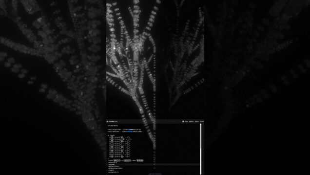 Strudel ambient sounds x TouchDesigner visuals #audioreactive #strudel #touchdesigner #genart