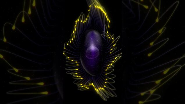 [TD PROMO] Promo #touchdesigner