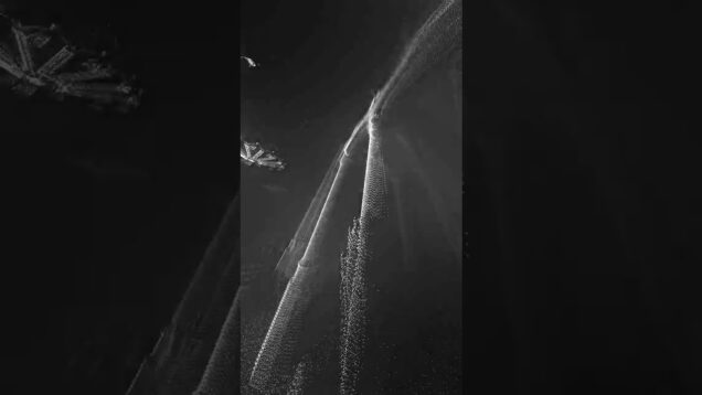 Teeth in The Worship. Elvis Depressely #touchdesigner #pointcloud