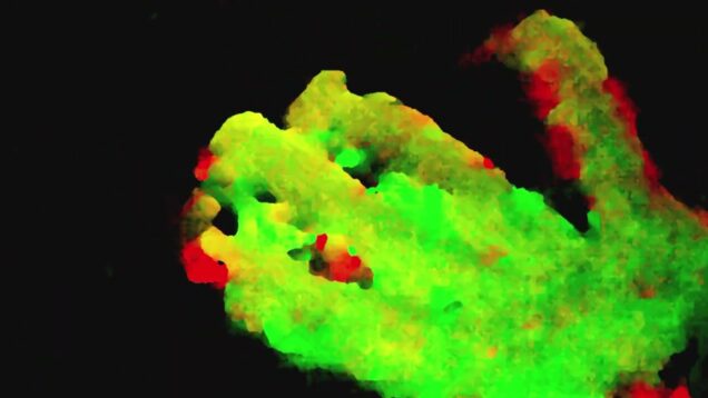 TouchDesigner interaction