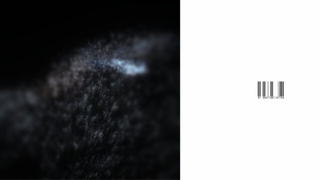 깃털 | TouchDesigner Study