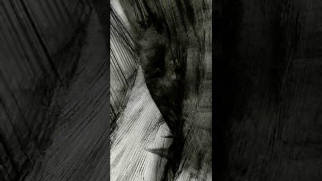 xXsxv 🌊#modular #av #abstractart #audiovisual #touchdesigner #modularsynth #valovanja #liveav