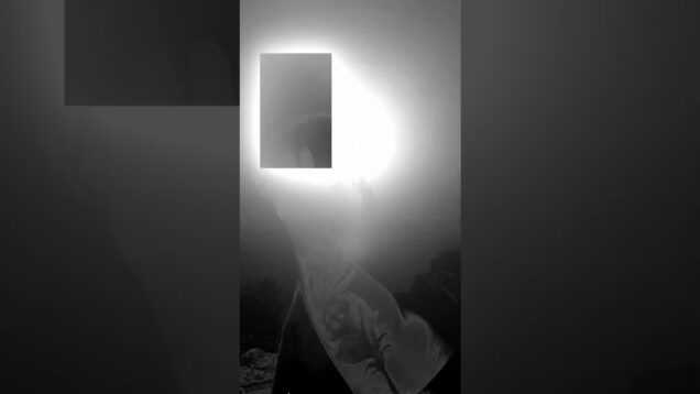 you become a whisper inside the circuit #experimentalmusic #touchdesigner  #visuals #ambientmusic