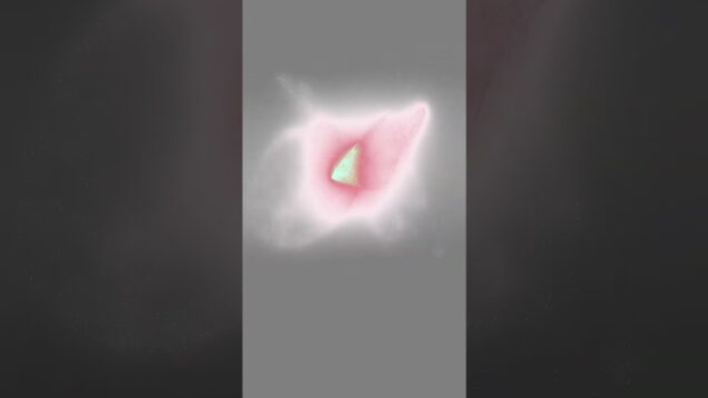 Cat Catch | TouchDesigner