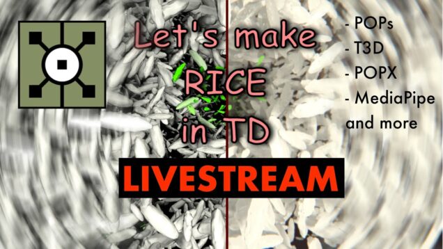 Cooking Realistic Rice in #touchdesigner – Project Breakdown Stream!