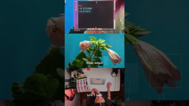 creating just to create #touchdesigner