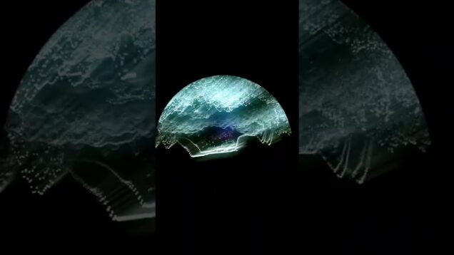 day 19 – playing with audioreactivity #touchdesigner #viduals #audioreactive #creative #music