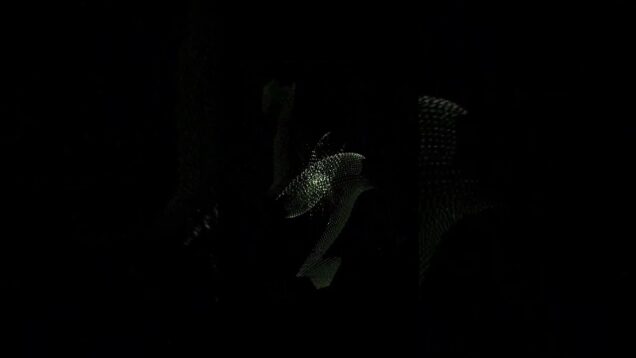 Demostración visuales reactivos al sonido #touchdesigner #psytrance #hardtechno