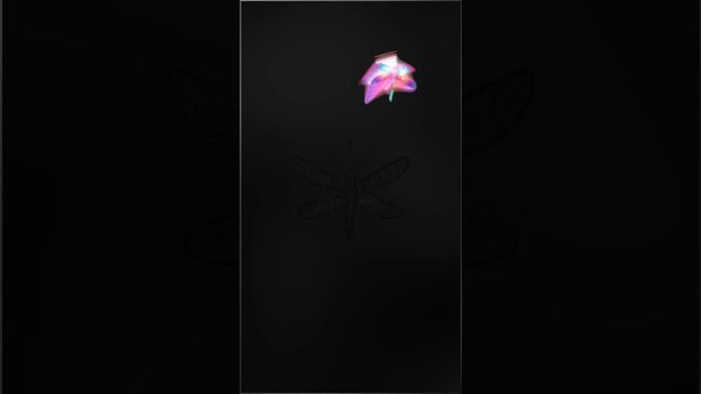 dragonfly + feedback in #touchdesigner