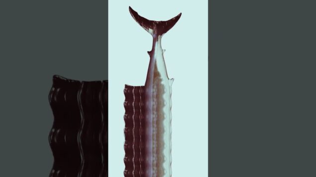 Efecto Escáner | Touchdesigner