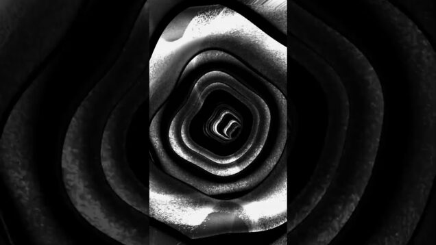 Fundaments of Being #dubstep #bassdrop #trippy #touchdesigner