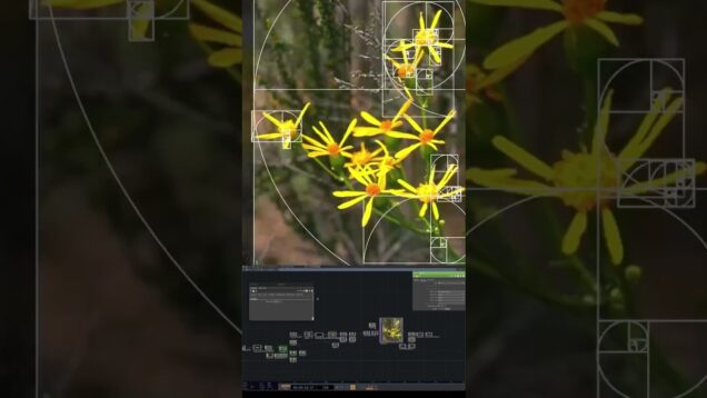 Genuary Day3: Fibonacci Sequence #TouchDesigner
