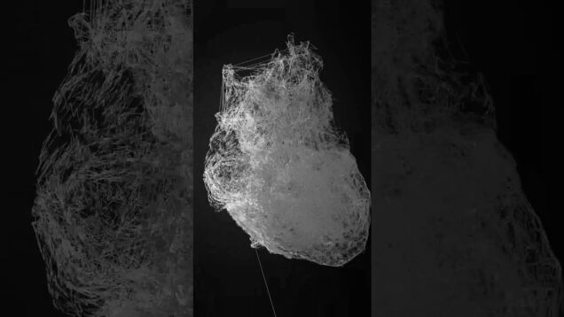 I don’t know if it was gifted to me by a friend or a stranger… #drumnbass #newdnb  #touchdesigner