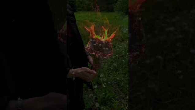 LET EM BURN #dream #touchdesigner #nature