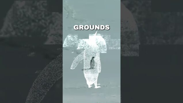 lol #touchdesigner #penguin #visuals