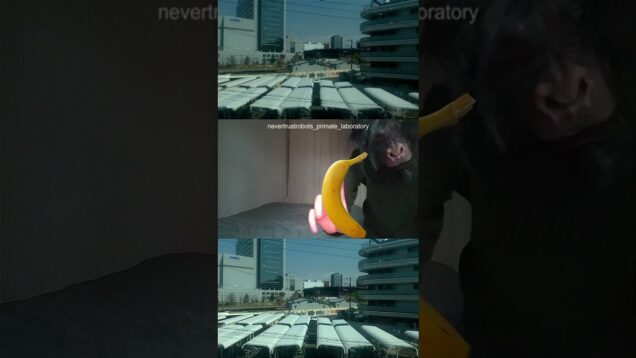 Osaka by Day #touchdesigner #audioreactive #generativeart #interactiveart #tracking #handtracking