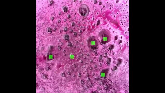 Resonant Bubbles #touchdesigner