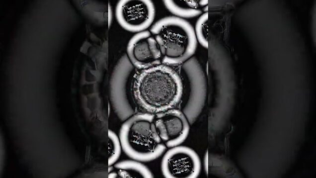 TG 1267 04 Find and Hold by COH meets Abul Mogard  #touchdesigner