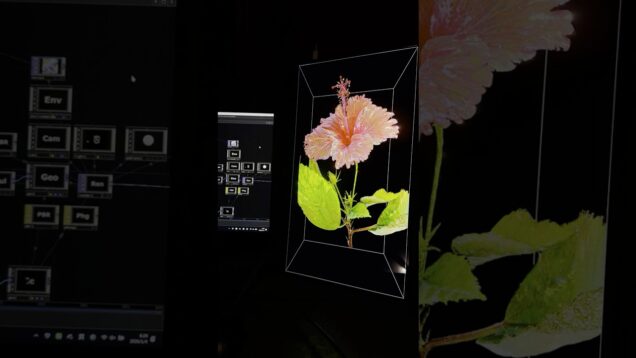The Cycle of a “Flower” | Touchdesigner