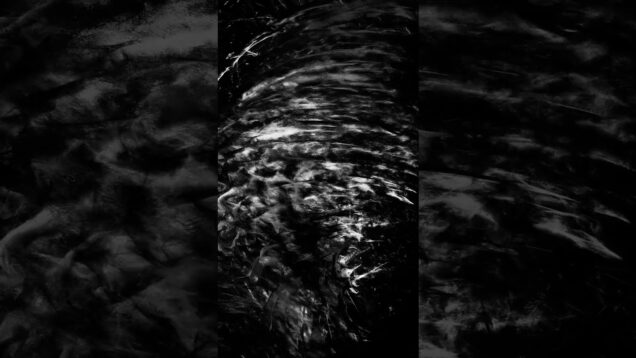 Traces of evolution 🌊#generativeart #touchdesigner #modularsynth #lukasmedves #valovanja