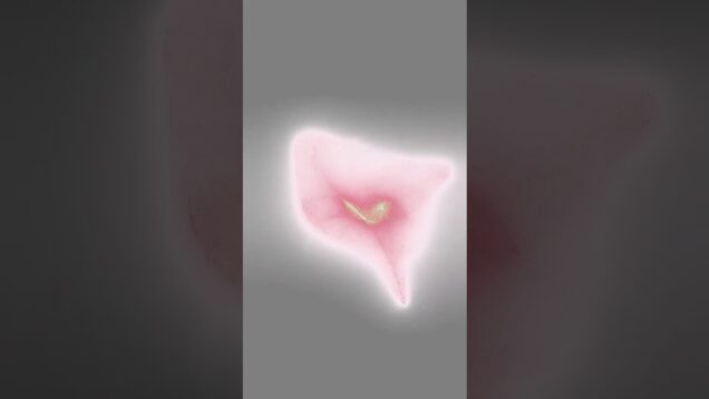 Tu nuevo objeto brillante favorito | TouchDesigner