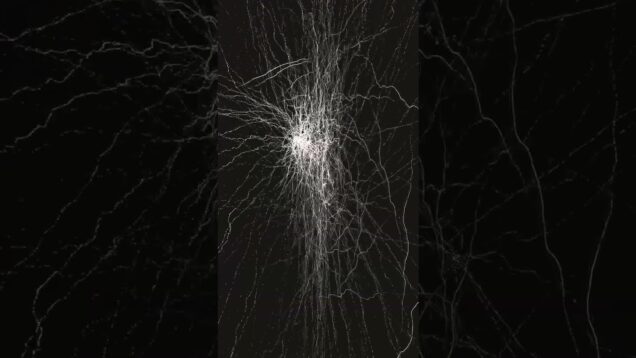 Web.’s#touchdesigner #electronicmusic #abstractart #digitalart #musicproducer #sounddesign