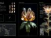 Anthropogenic Bloom Project – touchdesigner demo video