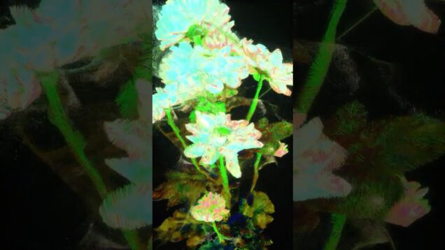 Can You See the Surging Energy Flowing Within Plants? | Touchdesigner