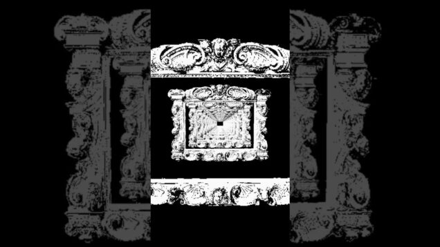 digital renaissance #visualartist  #vjloops #touchdesigner