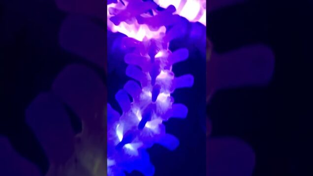 Interactive TouchDesigner Projects – Physical AND Digital #touchdesigner #interactive #installation