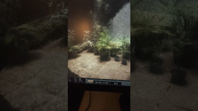 just scanning some plants at home 🍃 . ݁°˖ . #touchdesigner #pointcloud #3dgs