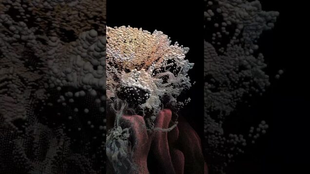 Particle Flower Meditation [AI Track + Generative Visual]