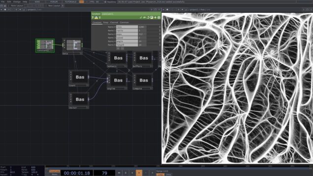 Physarum  in Touchdesigner