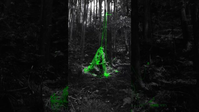 Physical, Nature, AI. (Made with TouchDesigner)